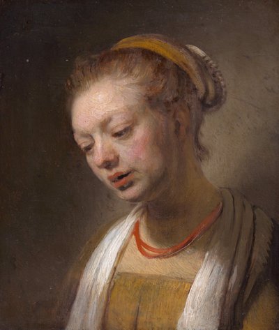 Young Woman with a Red Necklace by Rembrandt van Rijn